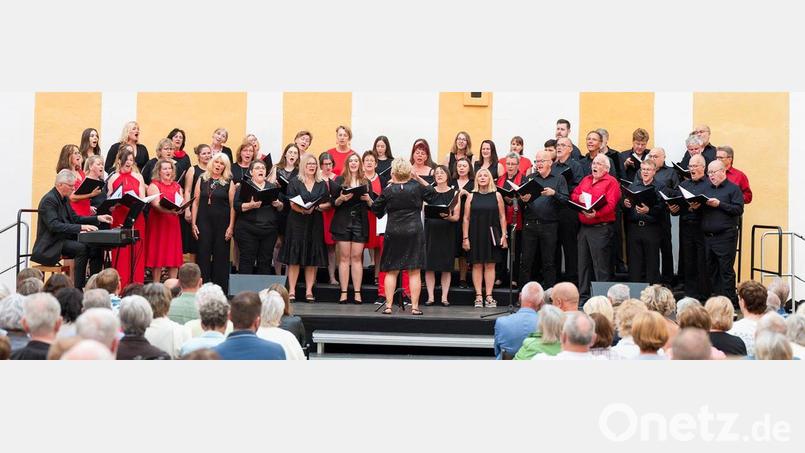 Der Chor Singing Witt singt ein Benefizkonzert für die Stiftung Engel für Kinder. Bild: Singing Witt/exb