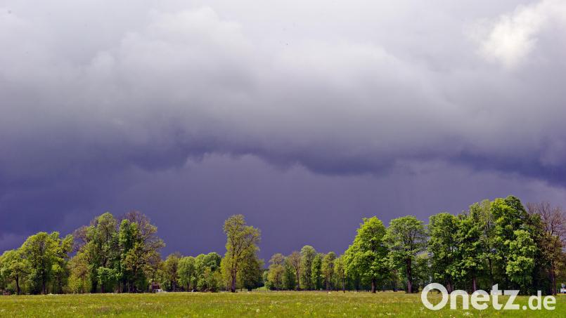 Das Regenwetter der vergangenen Tage hat die Waldbrandgefahr gesenkt. Symbolbild: Nicolas Armer/dpa