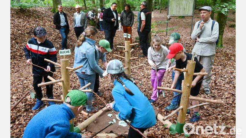 Blätter erkennen und sie dann an den richtigen Stamm hängen: Die Kinder hatten jede Menge Spaß bei dieser Aufgabe der Waldjugendspiele auf dem Mariahilfberg in Amberg. Bild: gf