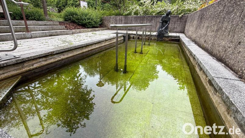 Über den Winter haben sich hier Algen gebildete, das Wasser ist stark grün gefärbt und schaut unhygienisch aus: Das Kneipbecken am Radlerrastplatz An der Flei in Rosenberg ist derzeit nicht gerade einladend. Bild: Petra Hartl