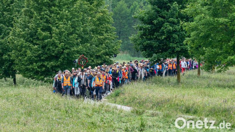 Die Regensburger Fußwallfahrt nach Altötting hatte in diesem Jahr nach Veranstalterangaben einen großen Teilnehmer-Zuwachs. Bild: Armin Weigel/dpa