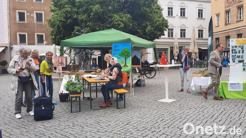 Die Amberger Omas haben am Tag der Umwelt am Marktplatz Präsenz gezeigt. Bild: Cornelia Kuhn/exb