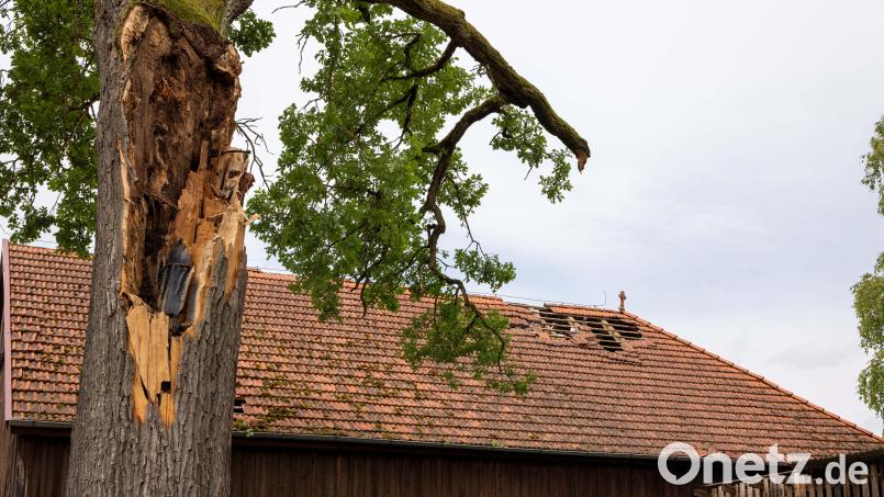 Auch eine denkmalgeschützte Eiche ist vom Sturm getroffen worden. Bild: hbe