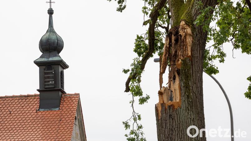 Etliche umgeknickte oder stark beschädigte Bäume hat der Sturm in Süß hinterlassen. Bild: hbe