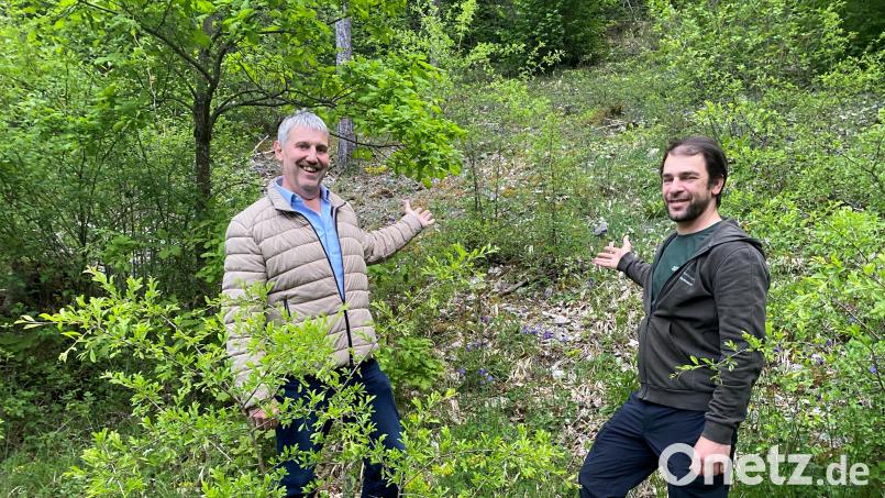 Bürgermeister Reiner Pickel (links) und Förster Bernhard Raschka in einem ohne Bewuchs rutschgefährdeten, steinigen Steilhang am Fuße des &quot;Rentnerwegs&quot; zwischen Weigendorf und Haunritz. Bild: glb