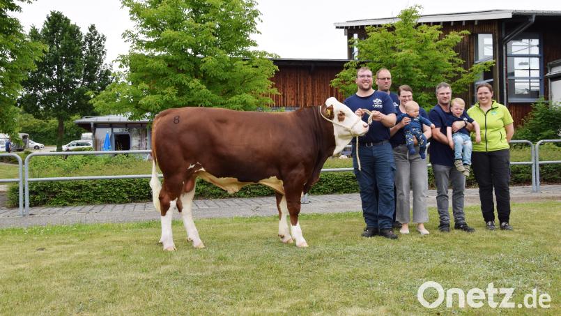 Der teuerste jemals ersteigerte Stier hat einen neuen Besitzer: &quot;Melodie&quot; mit seinen Züchtern (von links) Florian Götz und Andreas Böhm sowie Julia Götz mit Fabian, Stefan Madlener mit Felix Götz sowie Franziska Raps vom Besamungsverein Neustadt, die das Höchstgebot für den Stier abgab. Bild: Steiner/RZO/exb