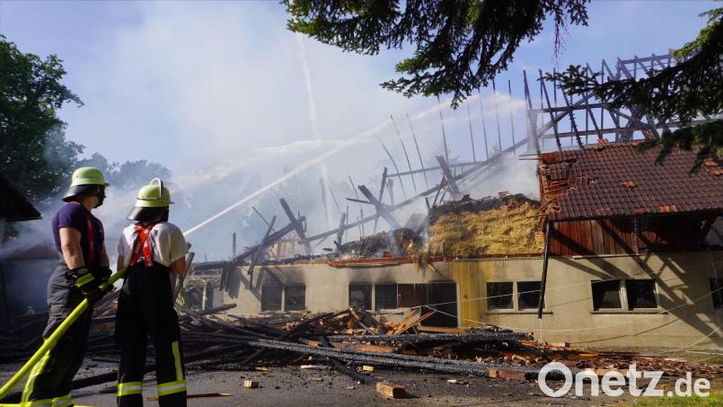 Der Stall brannte den Angaben zufolge vollständig aus und stürzte zusammen. Bild: Reinert/swd-medien/dpa