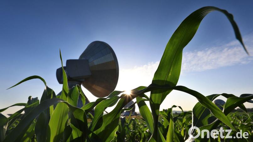 Zum Abschluss der Woche wird es noch mal heiß in Bayern mit laut DWD bis zu 32 Grad. Bild: Karl-Josef Hildenbrand/dpa