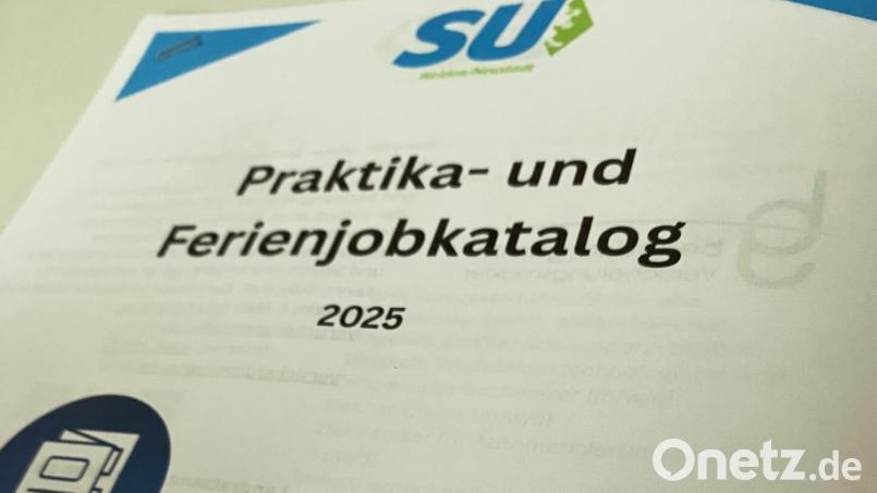 Die Schüler-Union Weiden/Neustadt hat ihren Ferienjobkatalog vorgestellt. Bild: Stephan Oetzinger