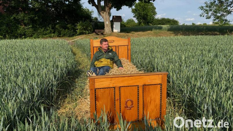 In Theuern steht ein Bett im Kornfeld: Tobias Birner vom Heimatverein hatte diese Idee und hofft, dass viele Leute Spaß an diesem Gag haben. Bild: Heike Unger