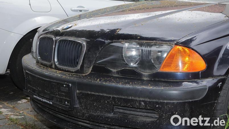 Kein Kennzeichen mehr: In Auerbach haben Nummernschild-Diebe zugeschlagen Symbolbild: Wolfgang Steinbacher
