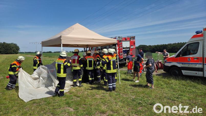 Drei Jungen sitzen bei großer Hitze im Auto und kommen nicht heraus. Die Feuerwehr zerstört schließlich eine Scheibe. Bild: Jonas Hermonies/Freiw. Feuerwehren Visselhövede/dpa