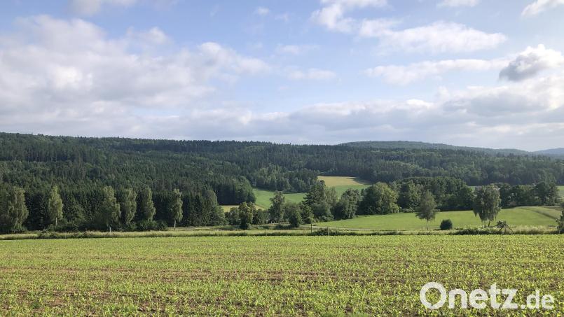 Auf den Höhen des Teichelberges im Flächendreieck Fuchsmühl/Pechbrunn/Wiesau sollen Windräder gebaut werden. Dagegen stemmt sich eine im März gebildete Bürgerinitiative. Bild: wro