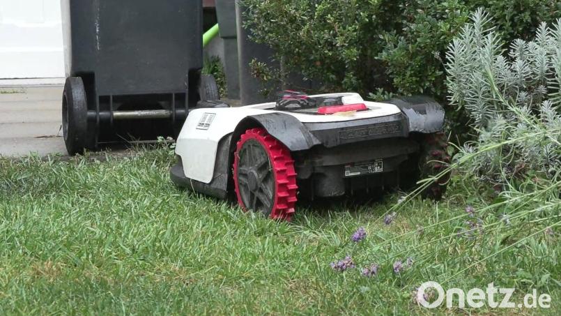 Ein 67-jähriger Mann aus Bruck wurde beim Verrichten seiner Notdurft in einem fremden Garten ertappt. Symbolbild: Sascha Thelen/dpa