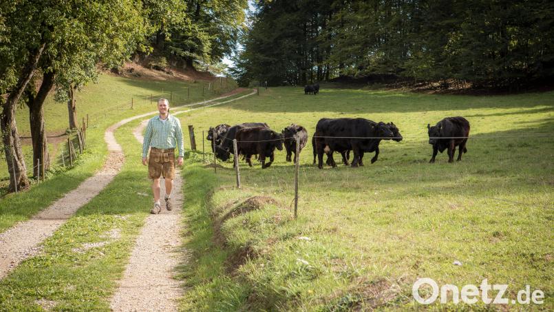 Markus Wagner: Ein Landwirt mit Leib und Seele, der mit seinen Galloway-Rindern richtig Freude hat Bild: Tanja Wagner