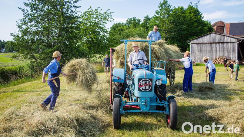 Wie früher: Traditionelle Heuernte in Senkendorf – und der 91-jährige Ludwig Frank auf dem alten Eicher-Traktor gibt den Takt vor. Bild: Hans Walter