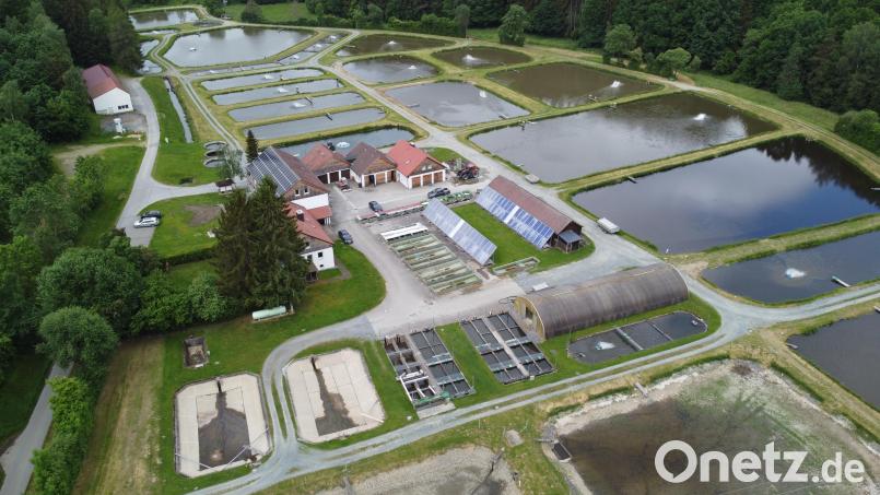 Der Teichwirtschaftliche Beispielsbetrieb Wöllershof kann saniert werden. Bild: Bezirk Oberpfalz/exb