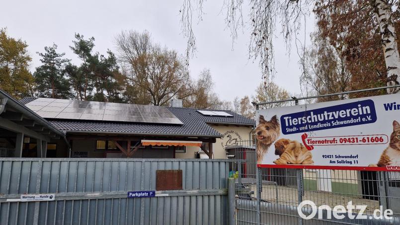 Der Tierschutzverein Stadt und Landkreis Schwandorf ist mit seinen 2570 Mitgliedern der größte in Schwandorf. Er betreibt das Tierheim im Schwandorfer Stadtteil Niederhof, das für den ganzen Landkreis Schwandorf zuständig ist. Bild: Dobler