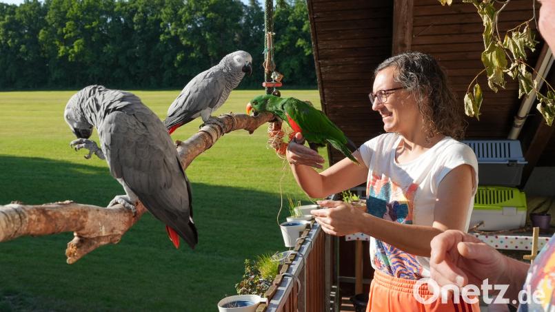 Katja Stiegler ist eigentlich keine Haustier-Freund. Die Papageien haben es ihr aber angetan. Bild: Petra Hartl