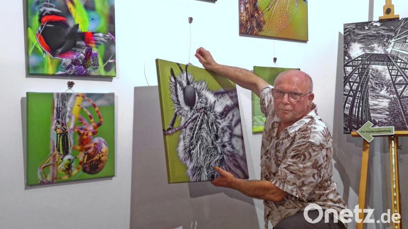 Fotograf Norbert Grüner präsentiert eine neue Ausstellung im Museum Mitterteich. Dazu zählen auch Nahaufnahmen von Insekten, die für so manche Betrachter wie außerirdische Wesen wirken dürften. Bild: lnz