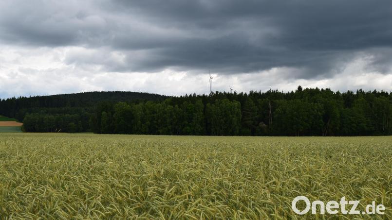 Im Waldstück mit der Bezeichnung &quot;Himmelstür&quot; soll der &quot;Windpark Söllitz&quot; errichtet werden. Im Hintergrund sind die Windräder bei Deindorf erkennbar. Bild: bnr