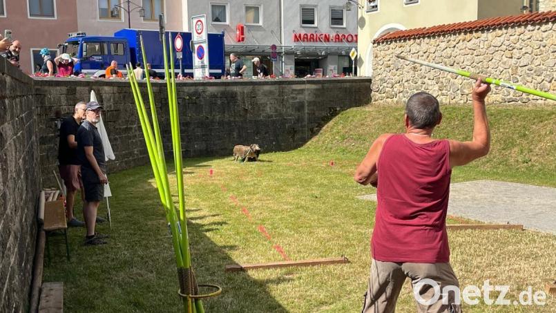 Beim Speerwurfwettbewerb "Saustechen" in Sulzbach-Rosenberg kämpften zahlreiche Teilnehmer um die ersten drei Plätze. Bild: Christine Ruoff
