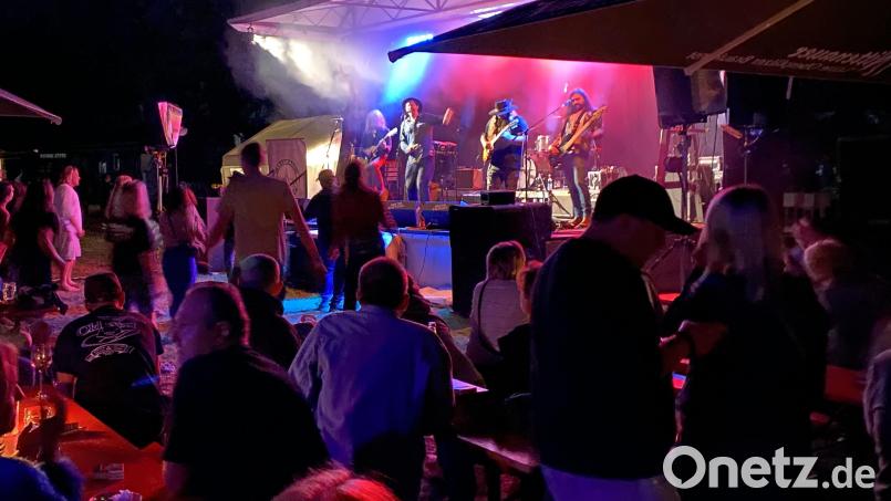 Das 28. Südstaatenmusikfest findet am 18. und 19. Juli in Burglengenfeld statt. Bild: Werner Fleischmann
