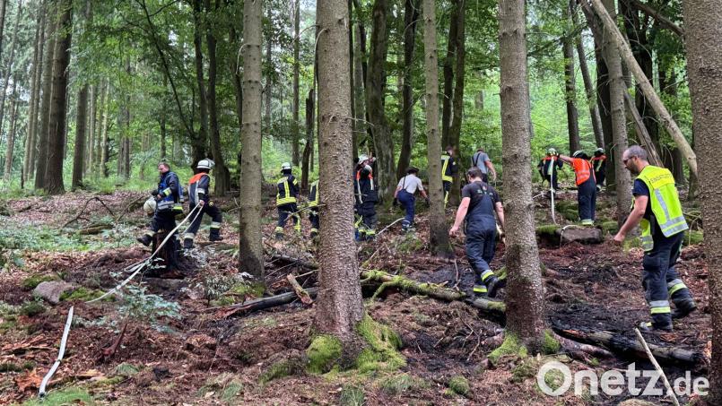 Der Waldbrand bei Plößberg war schnell unter Kontrolle, andernfalls hätten die Auswirkungen aufgrund der sehr großen Waldfläche katastrophal sein können. Bild: Kreisfeuerwehrverband Tirschenreuth