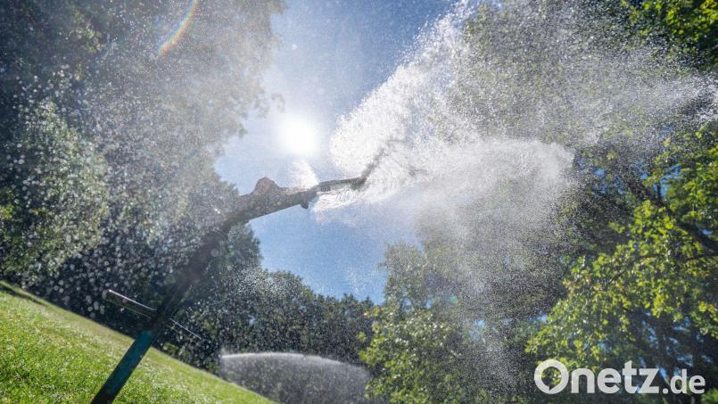 Vor dem Hintergrund der aktuellen Maßnahmen im Versorgungssystem der Stadt Waldsassen und der anhaltenden Trockenheit rufen die Verantwortlichen im Rathaus zum Wassersparen auf. So soll etwa die Bewässerung von Rasenflächen unterbleiben. Symbolbild: Michael Kappeler/dpa