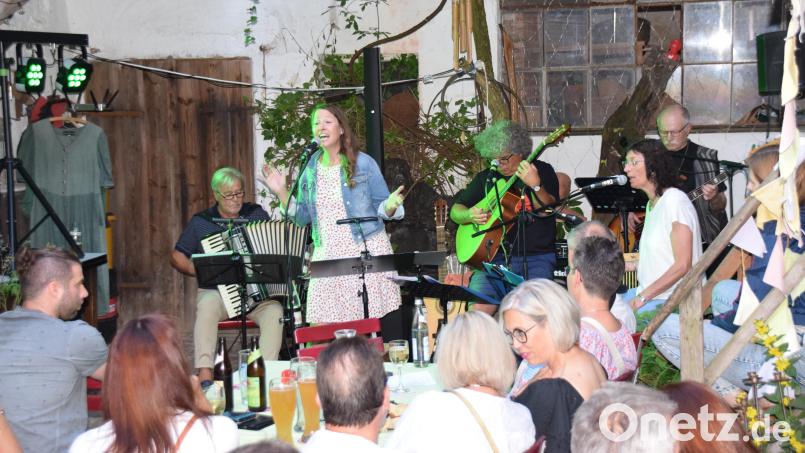 Eine tolle Stimmung im idyllischen Hinterhof des Gasthauses &quot;Zum Hirschen&quot; gab es, als in der lauen Sommernacht das Quintett &quot;Petico Carmen&quot; auftrat. Bild: hdk