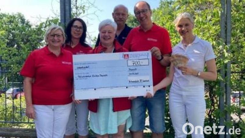 Renate Meier, Silke Klima, Simone Bauer, Dieter Deinzer und Stephan Winkelmaier von ZF übergeben die Spende an Sabine Gernhardt, Leiterin der Palliativ Station am Klinikum Bayreuth. Bild: ZF Auerbach(exb
