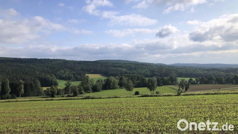 Ob und wann im Teichelberg (Bild) einmal Windräder stehen werden, ist derzeit noch ungewiss. Trotzdem formiert sich bereits Widerstand dagegen. Bild: wro