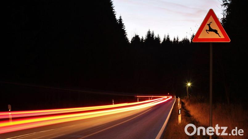 Plötzlich rennt ein Reh auf die Straße - mit Folgen für die Autofahrerin. Symbolbild: Jan Woitas/dpa-Zentralbild/dpa
