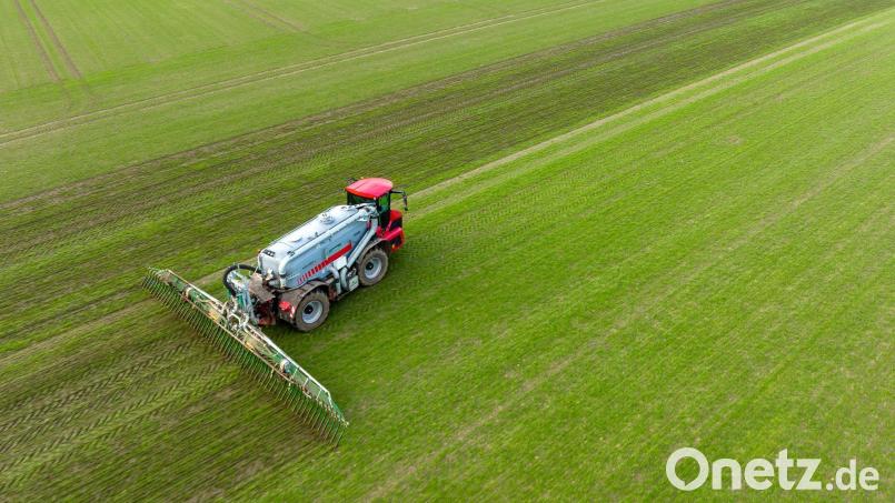 Der Ausbau der ökologischen Landwirtschaft in Bayern kommt nur langsam voran: 2024 wurden rund 13,86 Prozent der Nutzfläche ökologisch bewirtschaftet, wie das Landwirtschaftsministerium im Landtag mitteilte. Symbolbild: Philipp Schulze/dpa