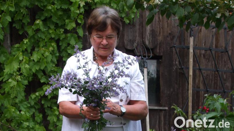 Viele Schätze der Natur findet Markusine Gutjahr auch im Garten ihres Hauses &quot;Am Bergl&quot; oberhalb von Königstein, Bild: Markusine Gutjahr
