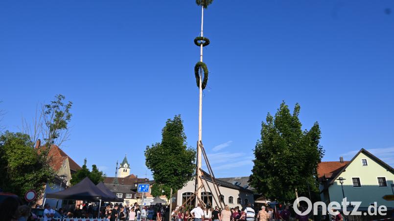 Nach eineinhalb Stunden steht der Pirker Kirwabaum in Pirks guter Stube dank der Hilfe der Kirwaburschen aus Luhe, der Patenkompanie und zahlreichen Vereinsmitgliedern und starken Armen aus dem Dorf. Bild: kki