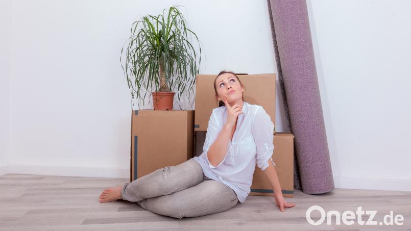 Endlich in der ersten eigenen Wohnung angekommen. Jetzt gilt es, auch finanzielle den Überblick zu behalten. Bild: detailblick-foto/Adobe Stock