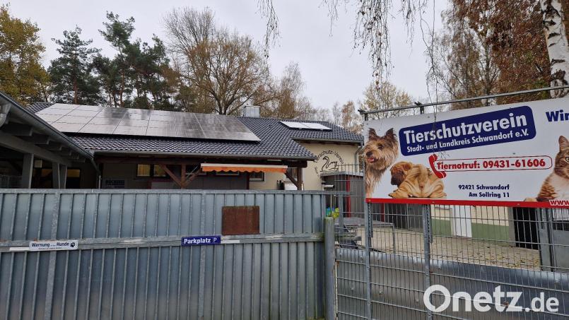 Der &quot;Tierschutzverein Stadt und Landkreis Schwandorf&quot; ist der größte Verein in Schwandorf, er betreibt auch das Tierheim. Archivbild: td