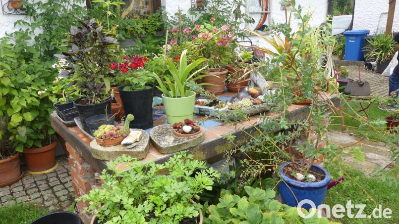Ein Gartentisch ist nicht unbedingt zum Frühstücken da. Bild: rn