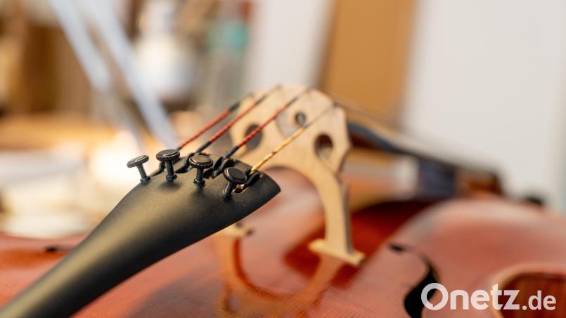 Eine wertvolle Geige wurde im Zug von Amberg nach Sulzbach-Rosenberg gestohlen. Die Bundespolizei sucht Zeugen. Archivbild: Christian Gold