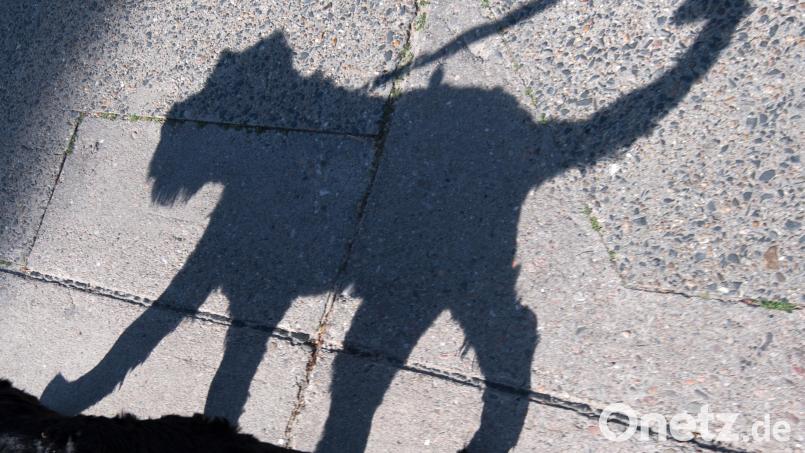 Ein E-Scooter-Fahrer wird in Kastl von einem Hund gebissen. Der Mann wird leicht verletzt. Ermittlungen gegen die Hundehalterin laufen. Symbolbild: Daniel Karmann/dpa
