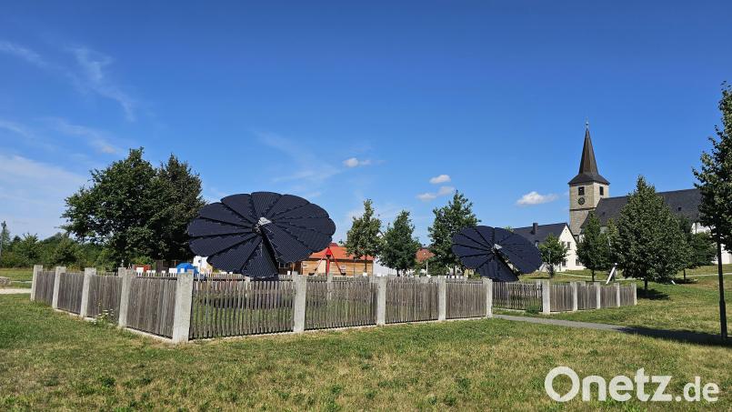 Endlich blühen die Solarblumen im Krummennaaber Bürgerpark wieder. Möglich machten dies ehrenamtliches Engagement, technischer Sachverstand und handwerkliches Geschick. Bild: vsr