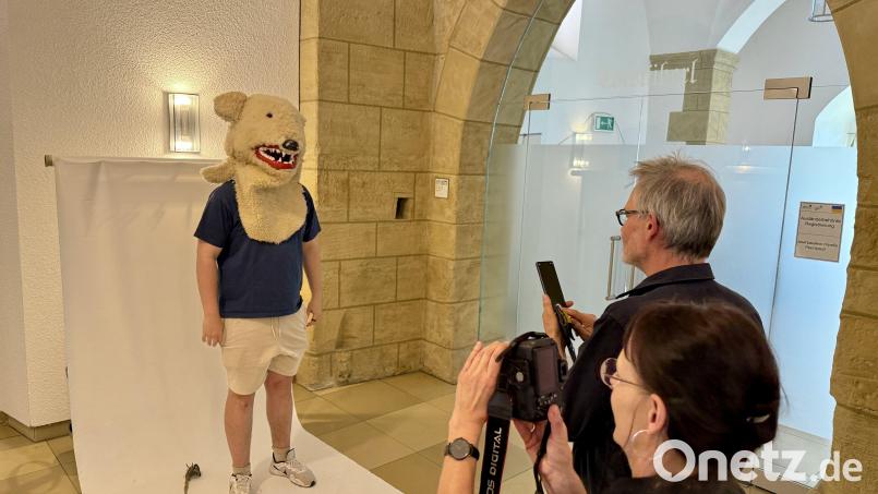 Sichtungstermin im Landratsamt für ein mögliches Kirwa-Museum. Der Kopf des Freudenberger Kirwabären wird dokumentiert. Bild: upl