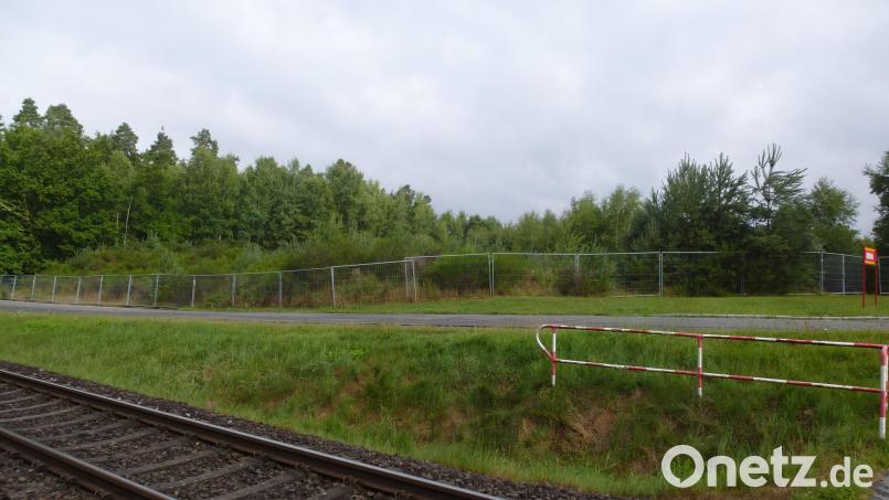 Auf dem eingezäunten Areal gegenüber Bahngleis und neben der Röthenbachstraße plant die TSG Mantel-Weiherhammer einen Mountainbike-Parcours. Bild: bk