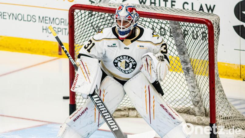 Michael McNiven ist der neue Torhüter der Blue Devils Weiden. Bild: Wheeling Nailers/Verein