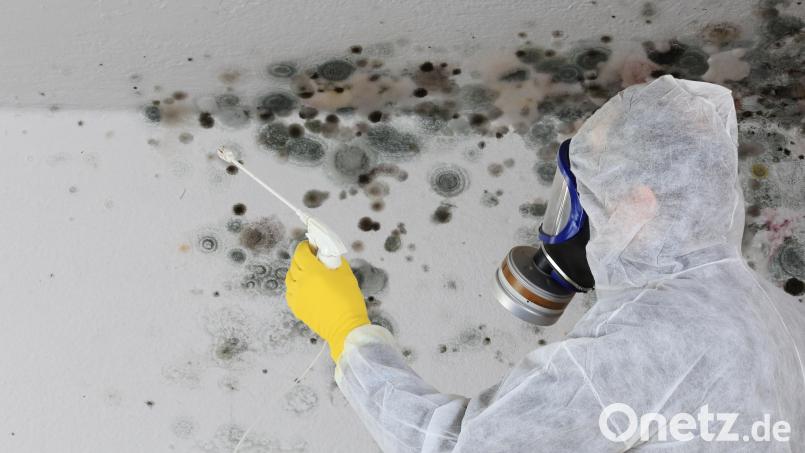 Wenn der Schimmelbefall in einer Wohnung schlimmer wird, kann ihm nur noch der Profi in Schutzkleidung zu Leibe rücken. Bild: RioPatuca Images/Adobe Stock/exb