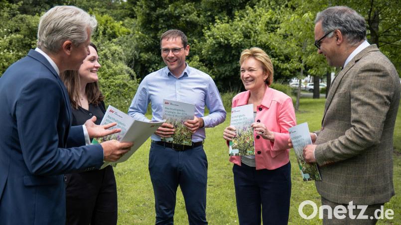 Das Team des Instituts für Nachhaltigkeit und Ethik sowie Präsident Prof. Dr. Clemens Bulitta (links) und Vizepräsidentin Prof. Dr. Christiane Hellbach (Zweite von rechts) freuen sich über die Veröffentlichung der Nachhaltigkeitsstrategie der OTH Amberg-Weiden. Bild: Jolanda Selting/OTH Amberg-Weiden