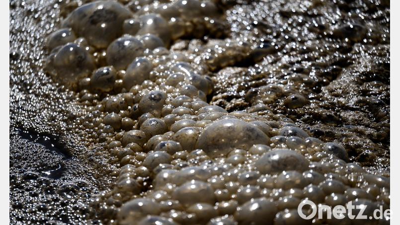 In Schönsee hat sich die Menge an Abwasser deutlich reduziert. Auch das sorgt in Kombination mit den Fixkosten für höhere Gebühren. Symbolbild: Hendrik Schmidt/dpa