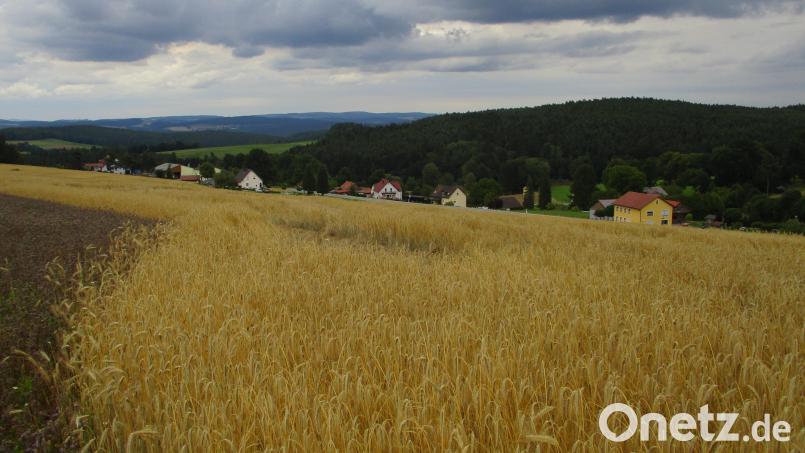 Wo jetzt noch Getreide angebaut wird, soll der &quot;Solarpark Friedersdorf&quot; entstehen. Die Bauleitplanung ist bereits weit fortgeschritten. Bild: bnr