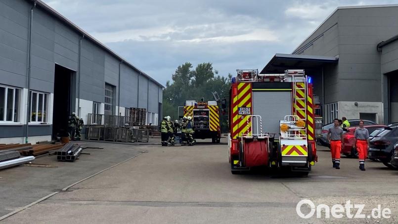 Mit Kohlendioxid ist es der Feuerwehr Schwarzenfeld gelungen, den Brand in der Absauganlage einer Metallbaufirma zu löschen, wodurch sich der Schaden in Grenzen hielt. Bild: Feuerwehr Schwarzenfeld/exb